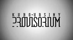 Logotyp <br>„Provisorium“